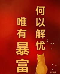 何以解憂,唯有暴富