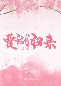 （紅樓同人）[紅樓]賈瑚歸來